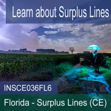 6 hr all Licenses CE - Surplus Lines